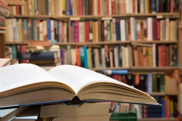 Литературно-игровая программа «Библиотечный день или нескучные каникулы»