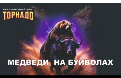 Цирк «Торнадо»