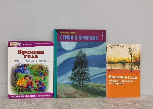 Поэтический концерт «Июль – макушка лета»