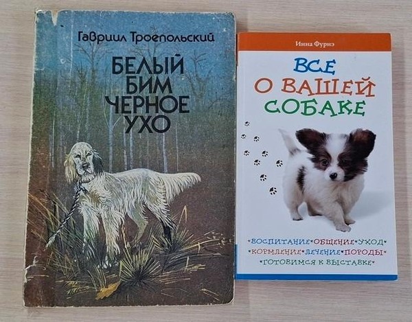Громкие чтения «Г. Н. Троепольский «Белый Бим Черное Ухо»