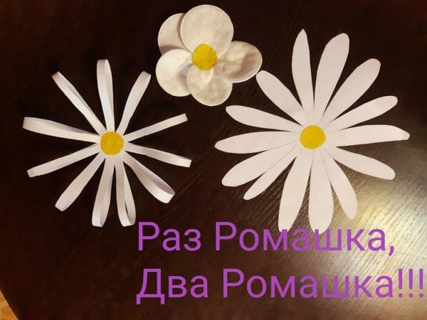 Викторина «Раз ромашка! Два- ромашка!»