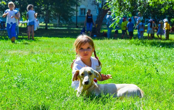 Программа «Дай лапу, друг!»