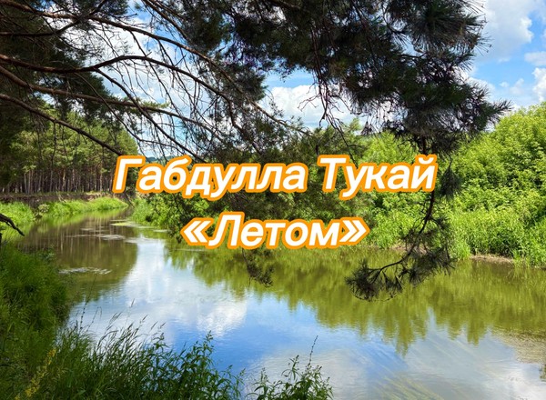 Чтение стихотворения «Летом-Җәй көнендә»