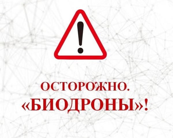 Профилактика терроризма: как не стать «биодроном»