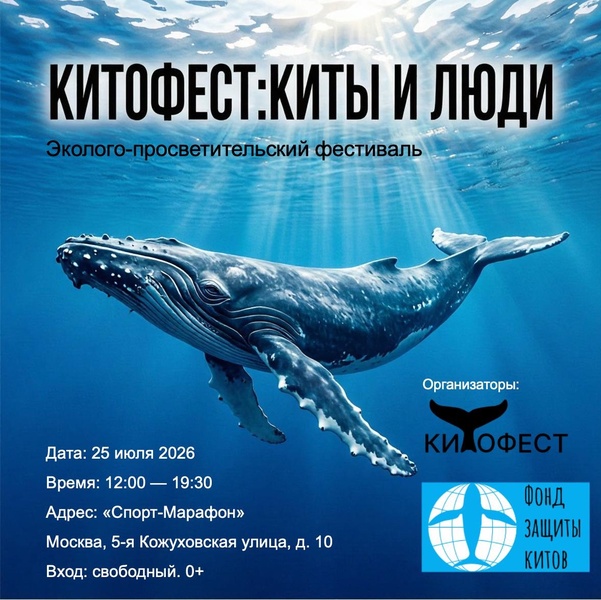 Эколого-просветительский фестиваль «Китофест: киты и люди»