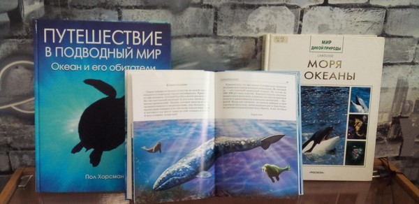 Морской эко-калейдоскоп «О дельфинах и китах мы расскажем вам сейчас»