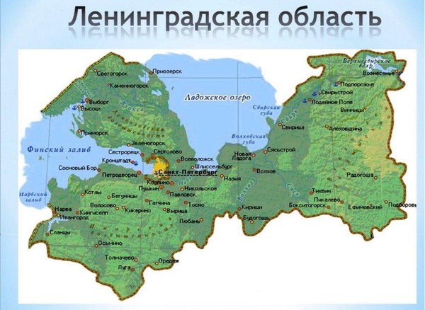 Экспозиция, посвященная дню образования Ленинградской области