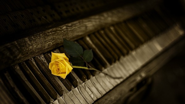Джан Сарач. Pianissimo