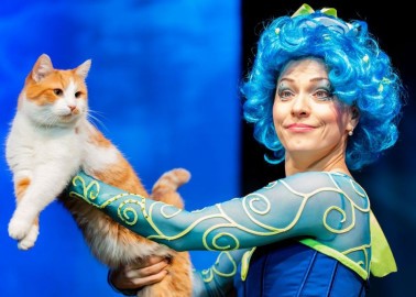 Театр кошек Куклачёва «Коты спасают мир»