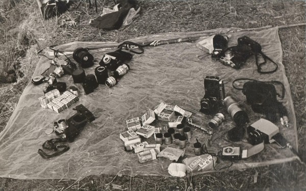 Выставка «Проявление. Архив семьи Карукиных» для посещения участниками СВО и членами их семей
