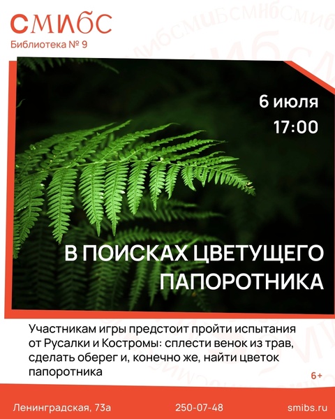 Квест «В поисках цветущего папоротника»