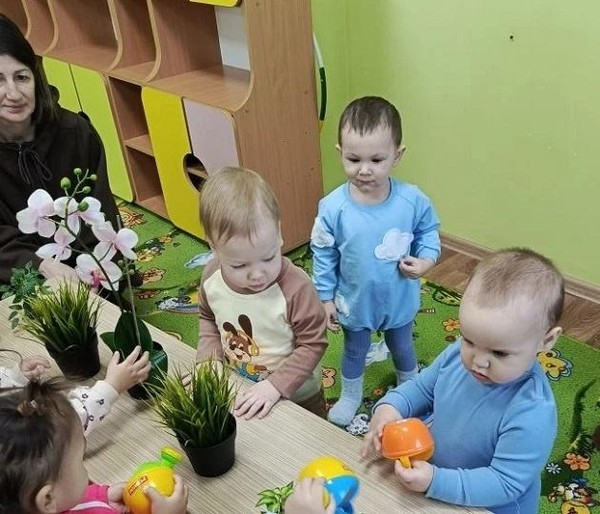 Познавательная программа «В гостях у природы»