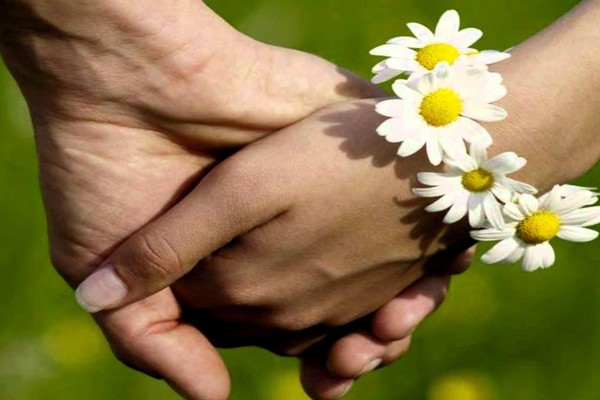 «8 июля – День семьи, любви и верности»