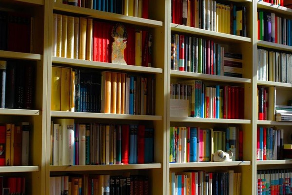 Библиографический обзор «Галерея книжных новинок»