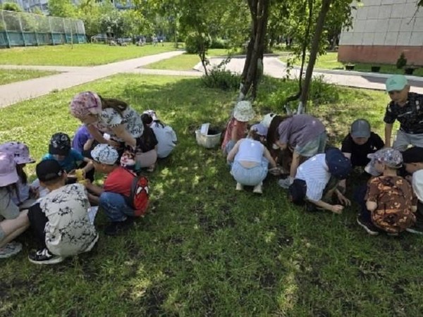 Программа «Маленькие помощники»