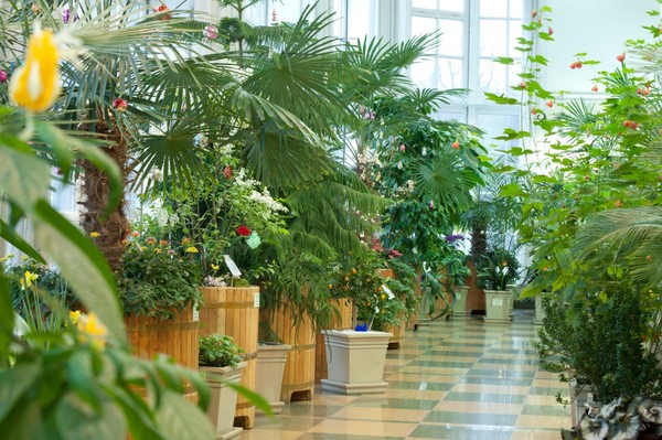 Сборная экскурсия по оранжерее