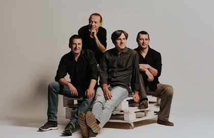 Группа «The Dartz»