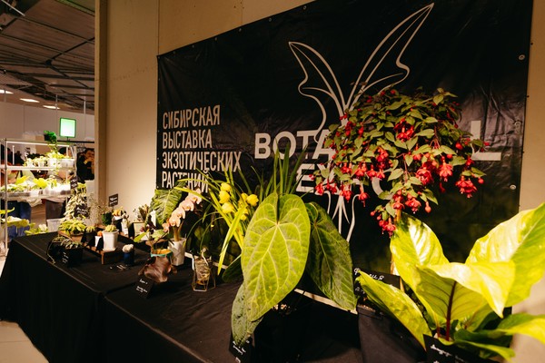Botanical Expo