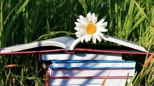 «Страница летних приключений»