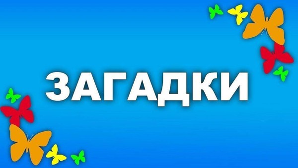 Выставка – предложение «Загадки без подсказки»