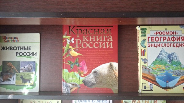 Выставка–открытие «Чудеса природы России»