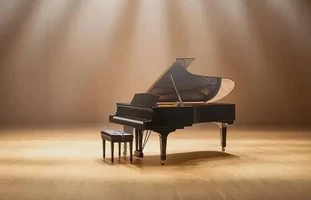 Приглашение к роялю