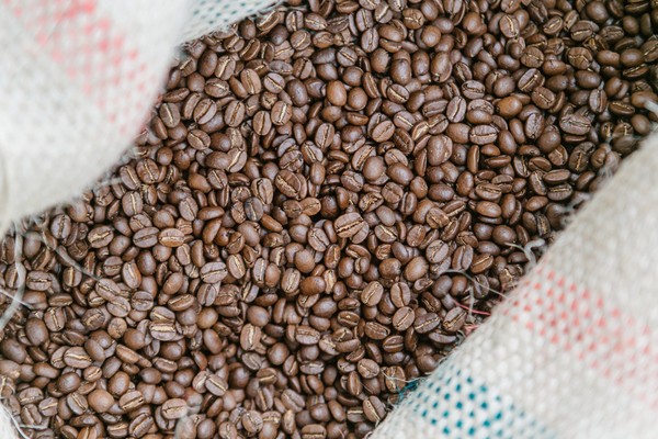 Экскурсия, лекция и каппинг на производстве BunaCoffee