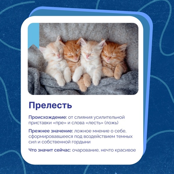 Творческий вечер Марины Хлебниковой
