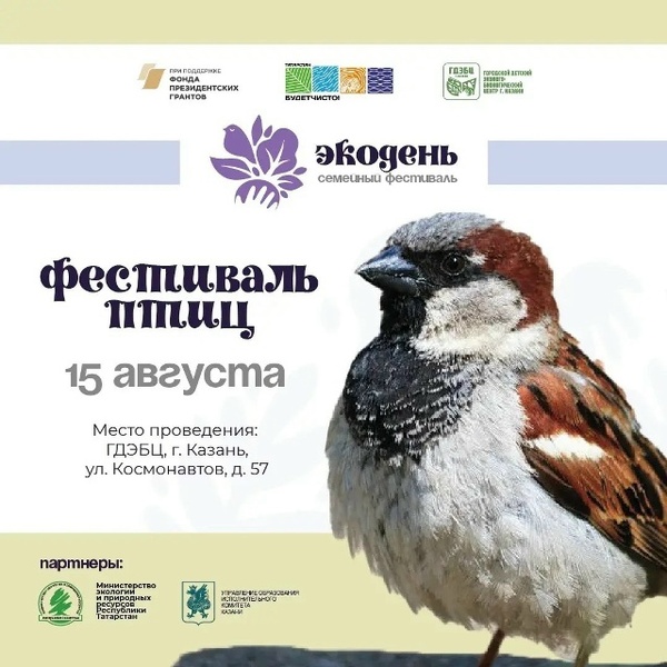 Фестиваль птиц