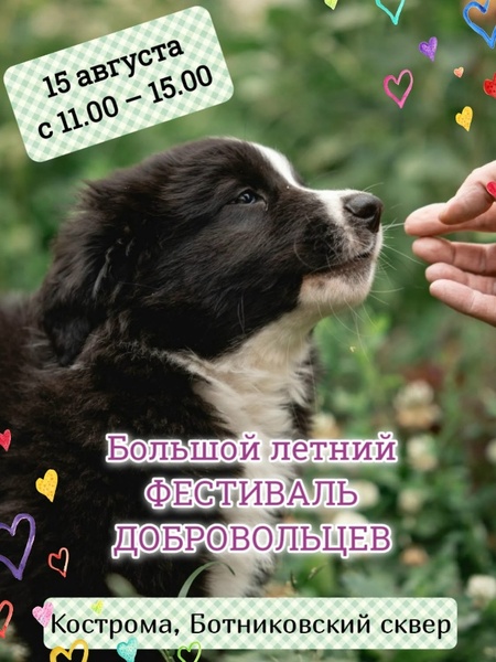 Большой летний Фестиваль ДОБРОВОЛЬЧЕСТВА