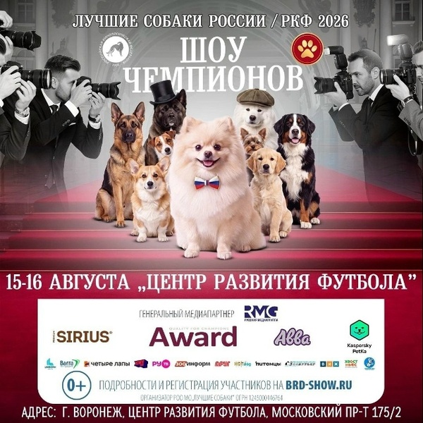 Лучшие собаки России / РКФ. Шоу чемпионов