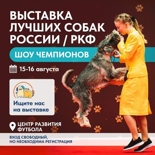 Лучшие собаки России / РКФ. Шоу чемпионов