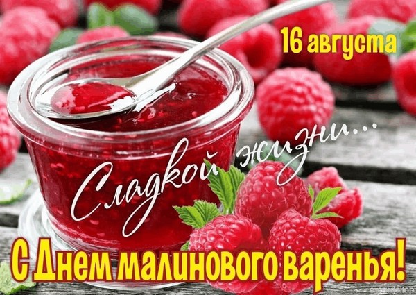 Познавательный час «День малинового варенья»