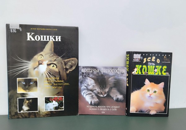 Встреча «Кошки не похожи на людей»