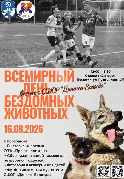 Выставка бездомных животных