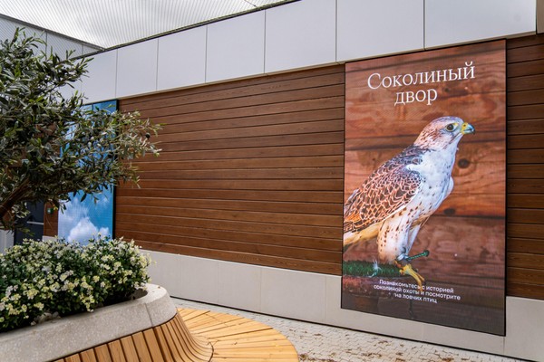 Экскурсия «Соколиный двор в Коломенском»