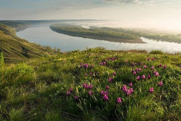 День писателя: «Я вырос здесь и край мне этот дорог»