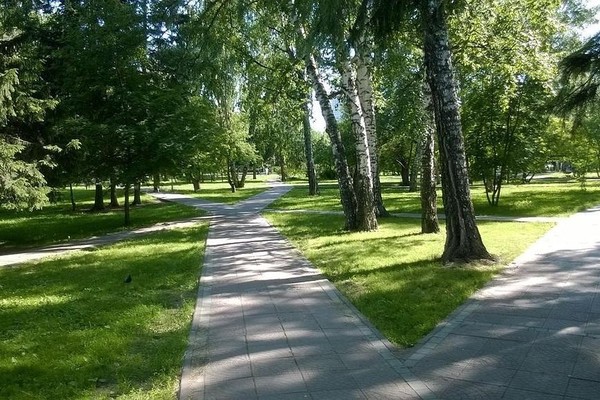 Пешеходная экскурсия «Нарымский оазис»