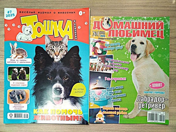 Пресс-тур «Домашний любимец»