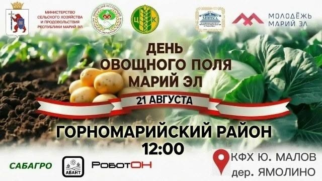 День овощного поля