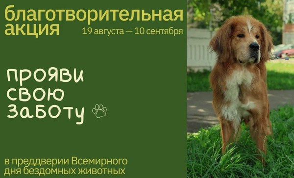 Благотворительная акция «Прояви свою заботу»