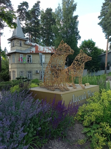 Лисий нос. Между Петербургом и Кронштадтом. Пешеходная экскурсия