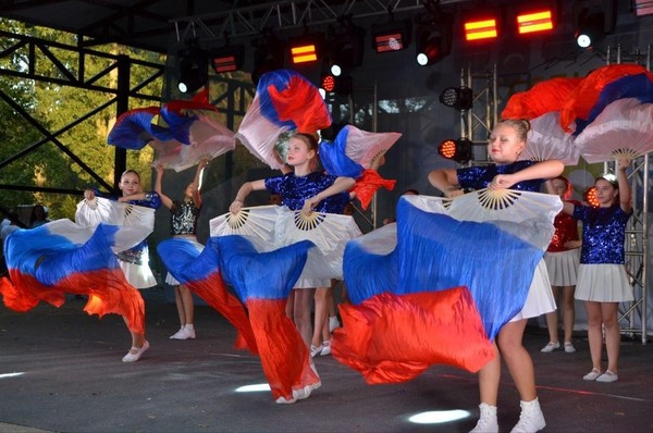 Акция «Гордо реет флаг державный»