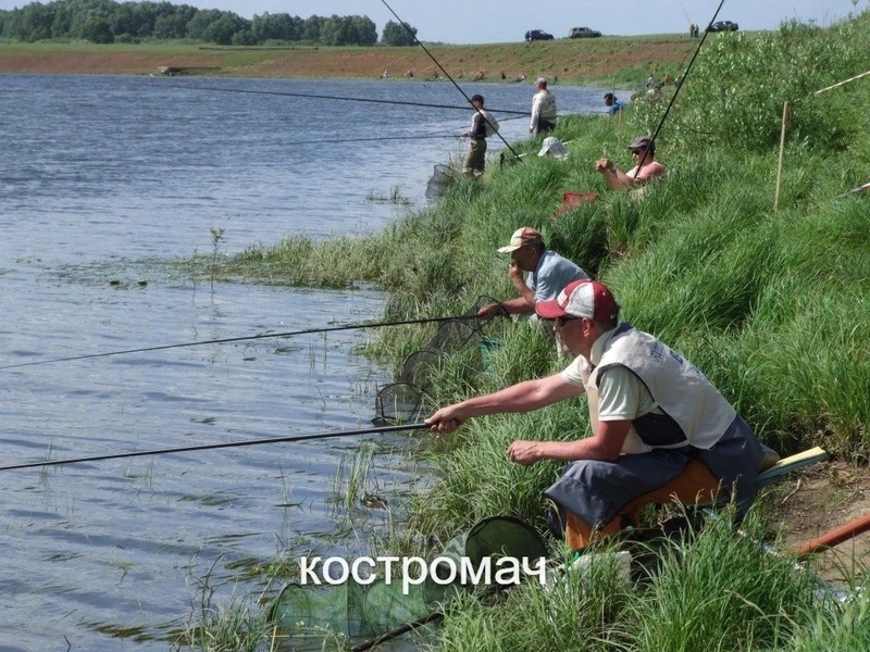 Чемпионат города Костромы по ловле поплавочной удочкой