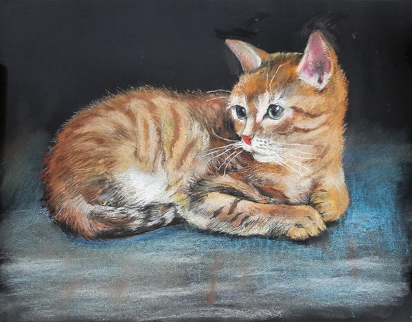 Мастер-класс «Котик»