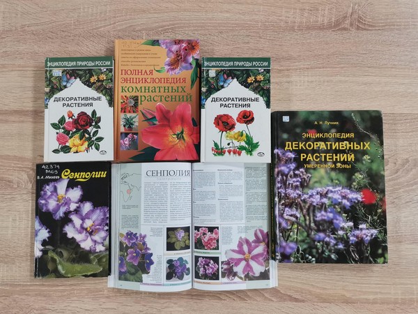 Заседание клуба любителей цветоводства «Гармония» «Сенполия – узамбарская гостья»
