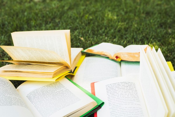 Праздник закрытия летней читальни «Незаметно с книгой лето пролетело»