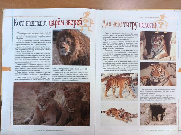 Литературный портрет на фоне природы «Царь зверей и царство львов» к Всемирному дню льва