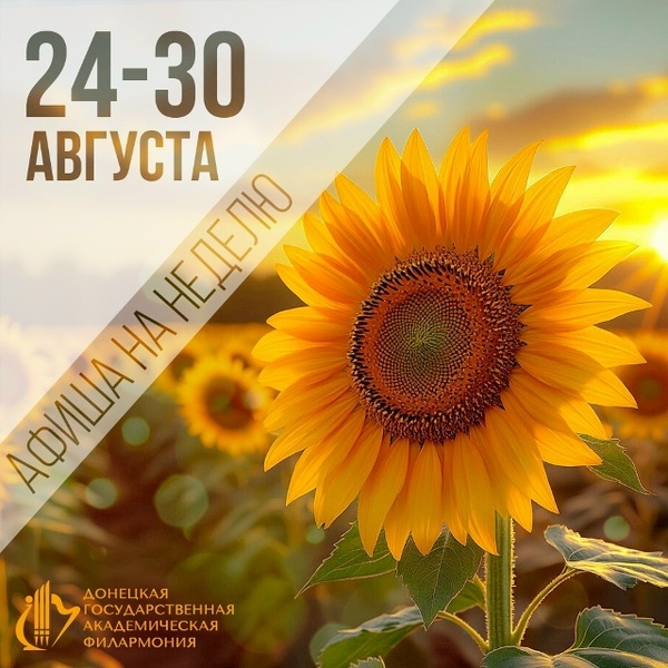 Спят курганы темные