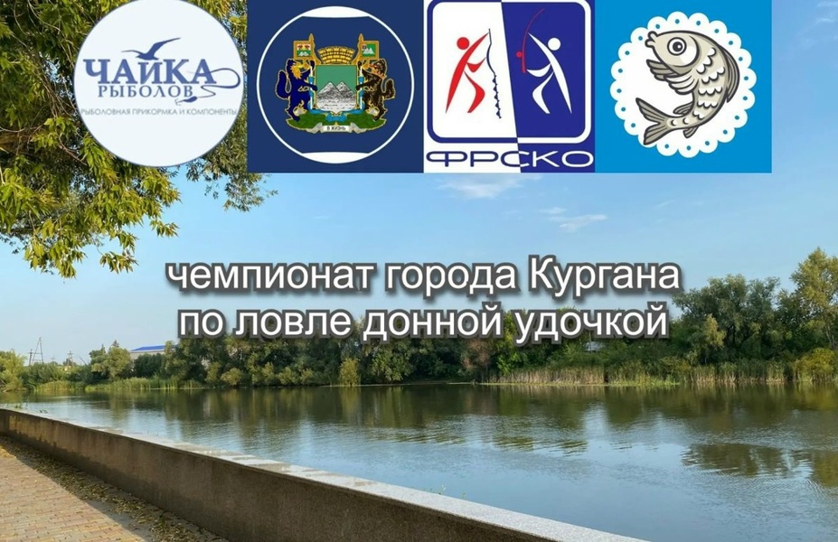 Курганская донка